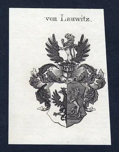 Von Lauwitz - Lauwitz Wappen Adel coat of arms Kupferstich  heraldry Heraldik