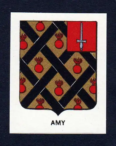 Amy - Amy Wappen Adel coat of arms heraldry Lithographie  blason