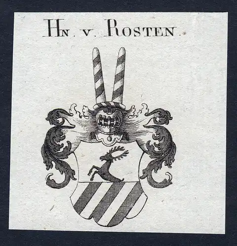 Hn. v. Rosten - Rosten Rost Wappen Adel coat of arms Kupferstich  heraldry Heraldik