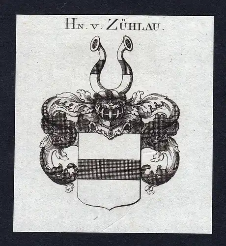 Hn. v. Zühlau - Zühlau Zuehlau Wappen Adel coat of arms Kupferstich  heraldry Heraldik