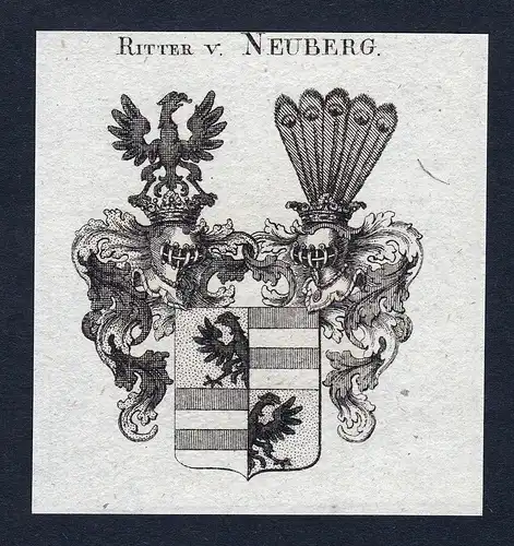 Ritter v. Neuberg - Neuberg Wappen Adel coat of arms Kupferstich  heraldry Heraldik