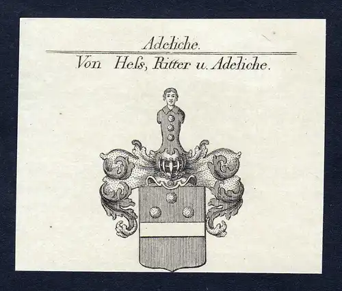 Von Hess, Ritter u. Adeliche - Hess Heß Wappen Adel coat of arms Kupferstich  heraldry Heraldik