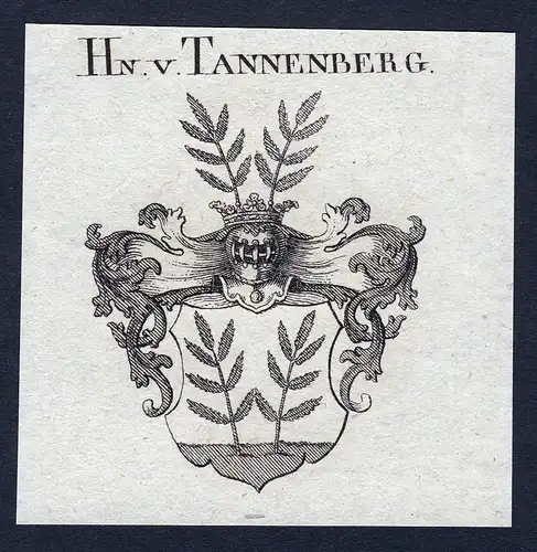 Hn. v. Tannenberg - Tannenberg Wappen Adel coat of arms Kupferstich  heraldry Heraldik
