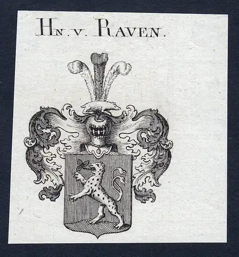 Hn. v. Raven - Raven Wappen Adel coat of arms Kupferstich  heraldry Heraldik