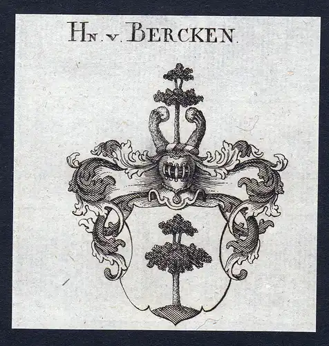 Hn. v. Bercken - Bercken Wappen Adel coat of arms Kupferstich  heraldry Heraldik