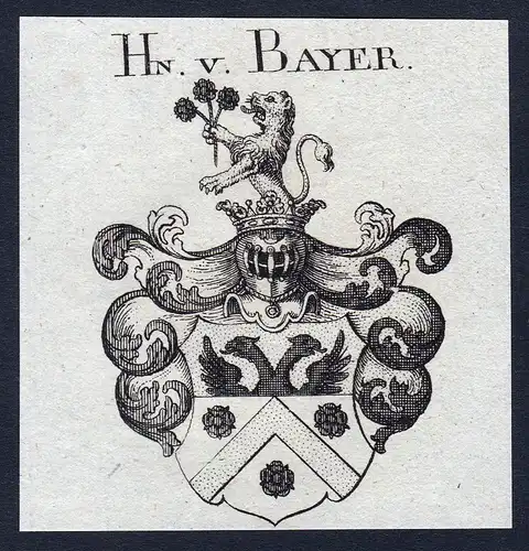 Hn. v. Bayer - Bayer Baier Wappen Adel coat of arms Kupferstich  heraldry Heraldik