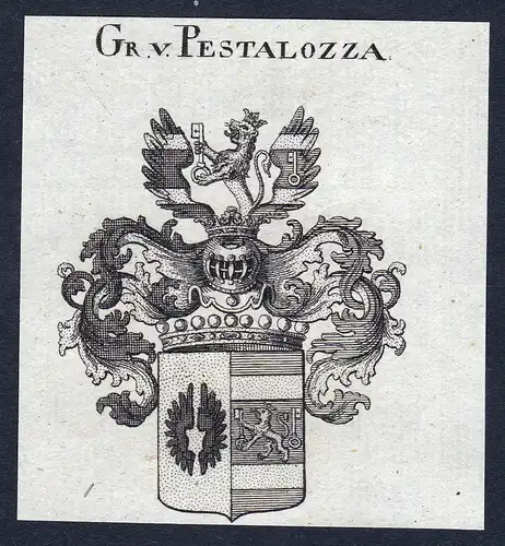 Gr. v. Pestalozza - Pestalozza Wappen Adel coat of arms Kupferstich  heraldry Heraldik