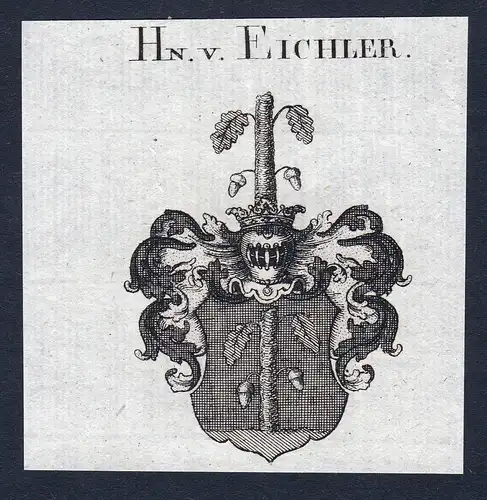 Hn. v. Eichler - Eichler Wappen Adel coat of arms Kupferstich  heraldry Heraldik