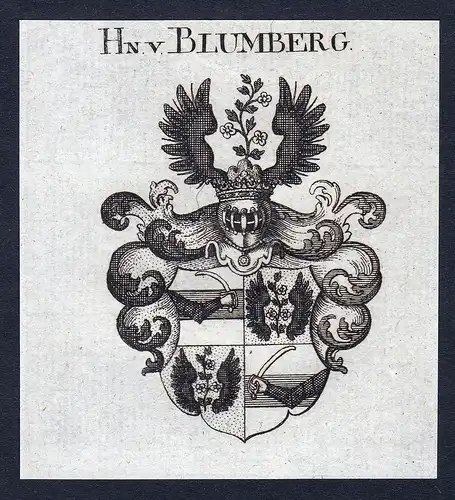 Hn. v. Blumberg - Blumberg Wappen Adel coat of arms Kupferstich  heraldry Heraldik