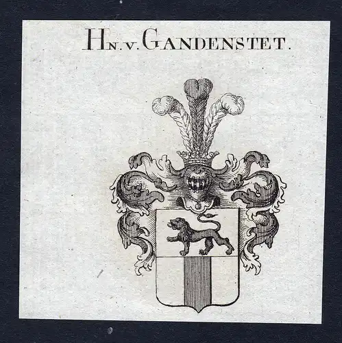 Hn. v. Gandenstet - Gadenstedt Wappen Adel coat of arms Kupferstich  heraldry Heraldik