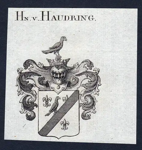 Hn. v. Haudring - Haudring Wappen Adel coat of arms Kupferstich  heraldry Heraldik