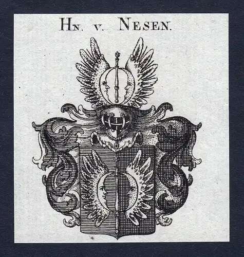 Hn. v. Nesen - Nesen Wappen Adel coat of arms Kupferstich  heraldry Heraldik