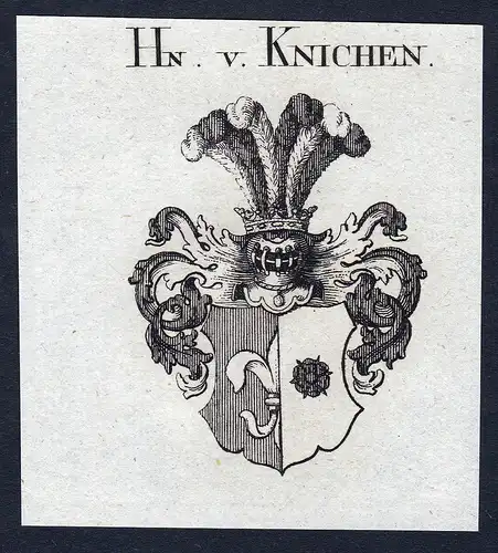 Hn. v. Knichen - Knichen Wappen Adel coat of arms Kupferstich  heraldry Heraldik