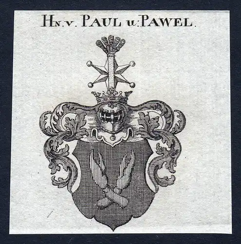 Hn. v. Paul u. Pawel - Paul Pawel Wappen Adel coat of arms Kupferstich  heraldry Heraldik