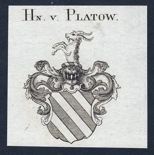 Hn. v. Platow - Platow Wappen Adel coat of arms Kupferstich  heraldry Heraldik