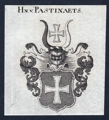 Hn. v. Pastinaets - Pastinaets Pastinets Pastinet Wappen Adel coat of arms Kupferstich  heraldry Heraldik