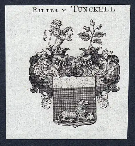 Ritter v. Tunckell - Tunckell Tunkell Tunckl Tunkl Wappen Adel coat of arms Kupferstich  heraldry Heraldik