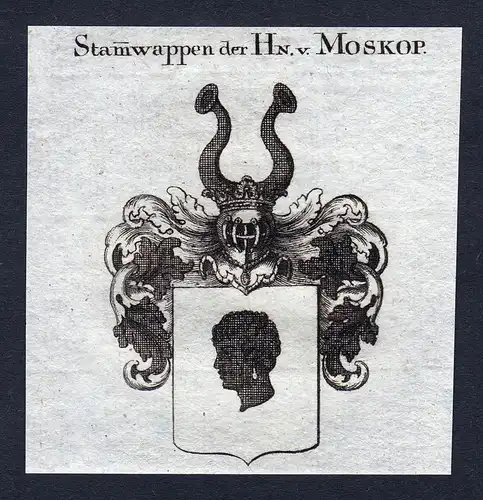 Stamwappen der Hn. v. Moskop - Moskop Wappen Adel coat of arms Kupferstich  heraldry Heraldik