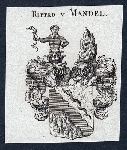 Ritter v. Mandel - Mandel Wappen Adel coat of arms Kupferstich  heraldry Heraldik