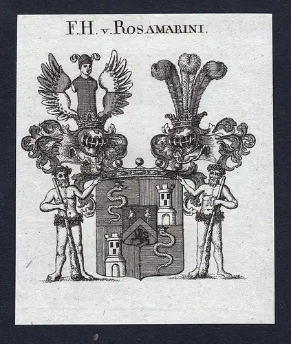 F.H. v. Rosamarini - Rosamarini Wappen Adel coat of arms Kupferstich  heraldry Heraldik