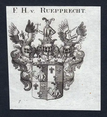 F.H. v. Ruepprecht - Ruepprecht Wappen Adel coat of arms Kupferstich  heraldry Heraldik