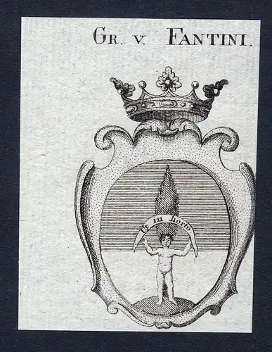 Gr. v. Fantini - Fantini Wappen Adel coat of arms Kupferstich  heraldry Heraldik