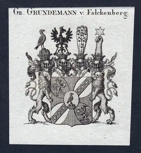 Gr. Grundemann v. Falckenberg - Grundemann von Falkenberg Wappen Adel coat of arms Kupferstich  heraldry Heral