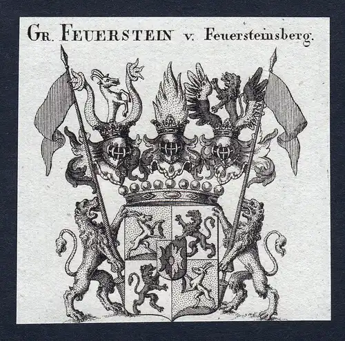 Gr. Feuerstein v. Feuersteinsberg - Feuerstein von Feuersteinsberg Wappen Adel coat of arms Kupferstich  heral