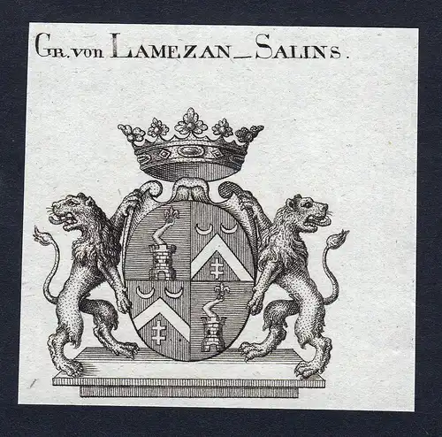 Gr. von Lamezan-Salins - Lamezan-Salins Wappen Adel coat of arms Kupferstich  heraldry Heraldik