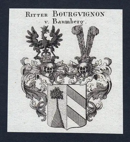 Ritter Bourguignon v. Baumberg - Bourguignon von Baumberg Wappen Adel coat of arms Kupferstich  heraldry Heral