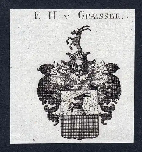 F.H. v. Gfaesser - Gfaesser Wappen Adel coat of arms Kupferstich  heraldry Heraldik