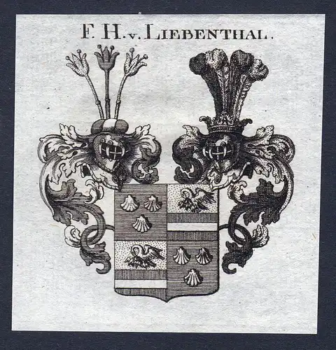 F.H. v. Liebenthal - Liebenthal Wappen Adel coat of arms Kupferstich  heraldry Heraldik
