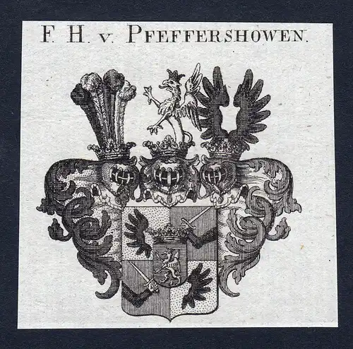 F.H. v. Pfeffershowen - Pfeffershowen Pfeffershofen Wappen Adel coat of arms Kupferstich  heraldry Heraldik