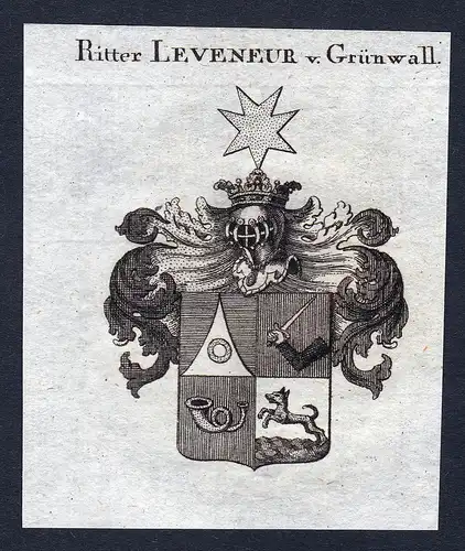 F.H. v. Leveneur und Grünwall - Leveneur von Grünwall Gruenwall Wappen Adel coat of arms Kupferstich  herald