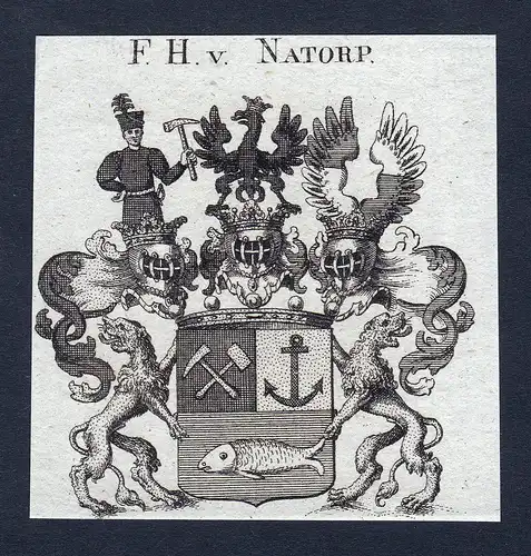 F.H. v. Natorp - Natorp Wappen Adel coat of arms Kupferstich  heraldry Heraldik