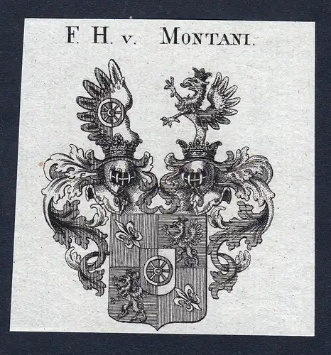 F.H. v. Montani - Montani Wappen Adel coat of arms Kupferstich  heraldry Heraldik