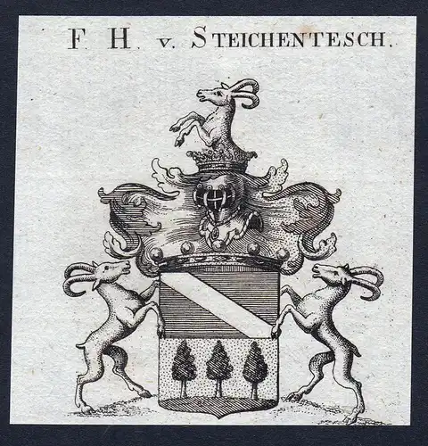 F.H. v. Steichentesch - Steichentesch Steigentesch Wappen Adel coat of arms Kupferstich  heraldry Heraldik