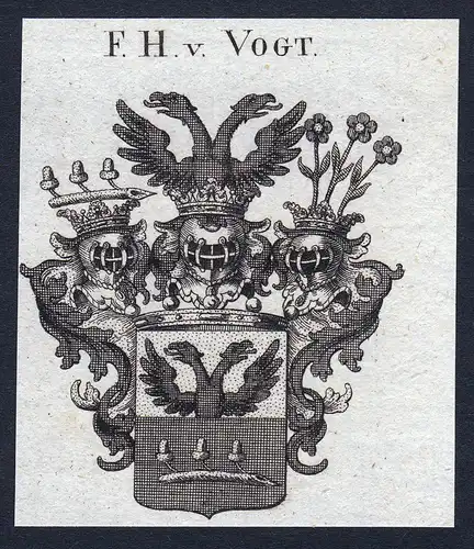 F.H. v. Vogt - Vogt Wappen Adel coat of arms Kupferstich  heraldry Heraldik