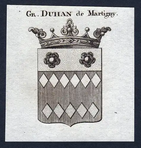 Gr. Duhan de Martigny - Duhan de Martigny Wappen Adel coat of arms Kupferstich  heraldry Heraldik