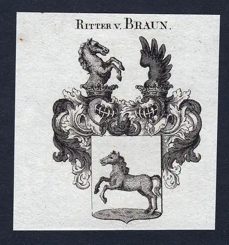 Ritter v. Braun - Braun Wappen Adel coat of arms Kupferstich  heraldry Heraldik