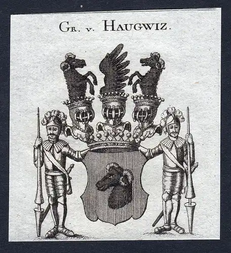 Gr. v. Haugwitz - Haugwitz Wappen Adel coat of arms Kupferstich  heraldry Heraldik