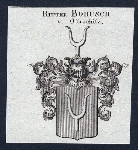 Ritter Bohusch v. Ottoschitz - Bohusch von Ottoschitz Wappen Adel coat of arms Kupferstich  heraldry Heraldik