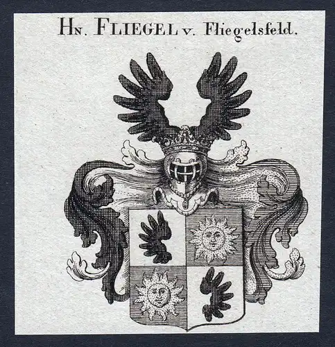 Hn. Fliegel v. Fliegelsfeld - Fliegel von Fliegelsfeld Wappen Adel coat of arms Kupferstich  heraldry Heraldik