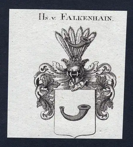 Hn. v. Falkenhain - Falkenhain Frankenhayn Wappen Adel coat of arms heraldry Heraldik
