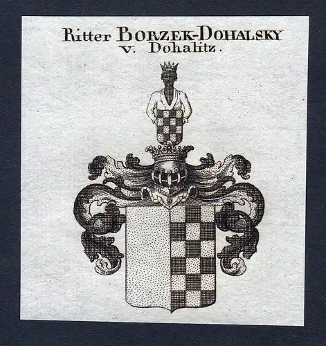Ritter Borzek-Dohalsky v. Dohalitz - Borzek-Dohalsky Dohalitz Wappen Adel coat of arms Kupferstich  heraldry H
