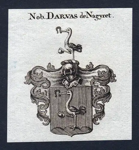 Nob. Darvas de Nagyret - Darvas de Nagyret Nagy-Ret Wappen Adel coat of arms Kupferstich  heraldry Heraldik