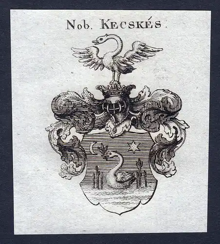 Nob. Kecskes - Kecskes Wappen Adel coat of arms Kupferstich  heraldry Heraldik