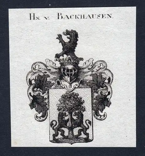Hn. v. Backhausen - Backhausen Wappen Adel coat of arms heraldry Heraldik