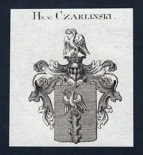 Hn. v. Czarlinski - Czarlinski Wappen Adel coat of arms Kupferstich heraldry Heraldik engraving