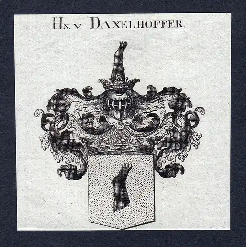 Hn. v. Daxelhoffer - Daxelhoffer Dachselhofer Wappen Adel coat of arms Kupferstich heraldry Heraldik engraving